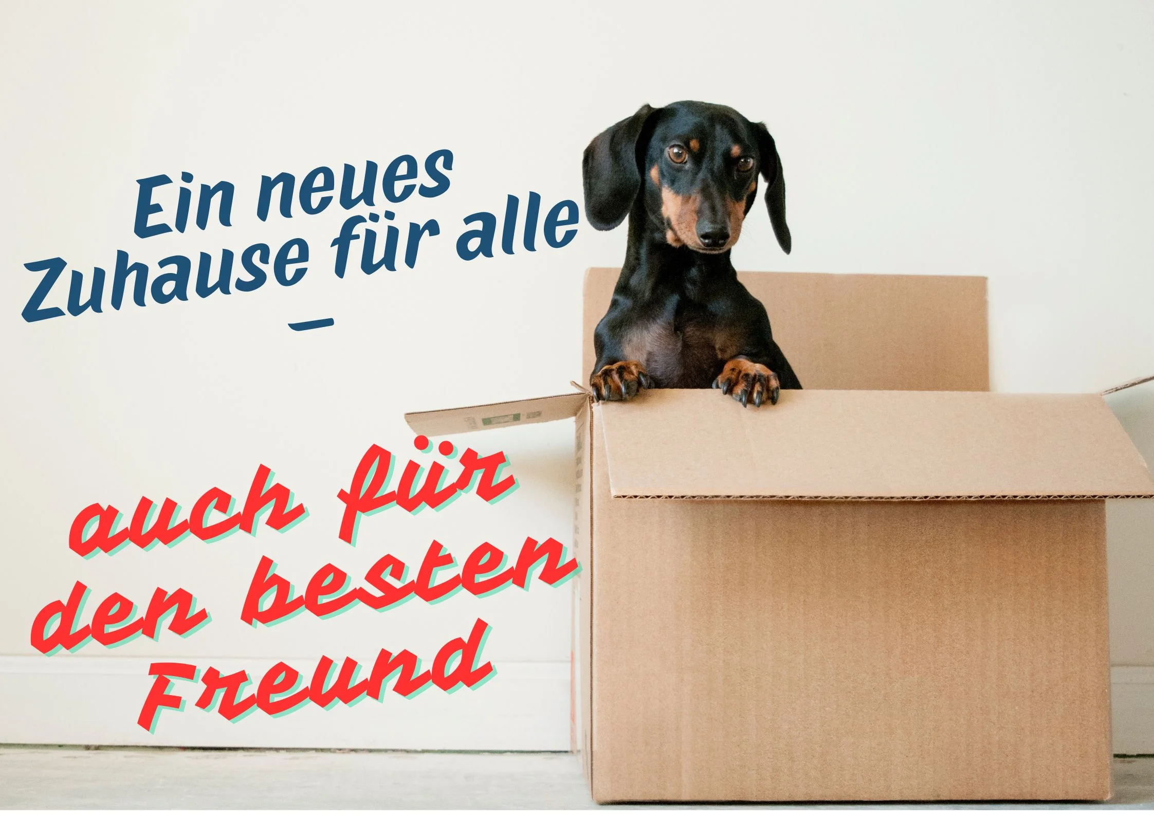 Umzugshund